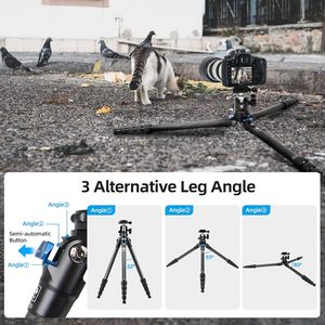 Trépied en fibre de carbone <span class=keywords><strong>SIRUI</strong></span> 50 avec tête sphérique à 360° B-00K, trépied de voyage léger et compact pour appareils photo - Product Image 5