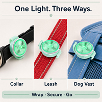 Couleurs de corps personnalisables, étanche IPX7, lumière LED rechargeable pour chien, lumière de sécurité nocturne, pendentif lumineux pour collier de chien