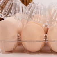Plateau d'emballage transparent en plastique pour œufs de poulet, 12, 15 ou 30 alvéoles, vente en gros OEM, pour 30 œufs