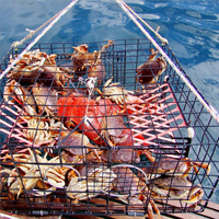 Piège à poisson en fer pêche écrevisses fil 3/4 "fil piège crabe bleu piège à crabe fil rouleau
