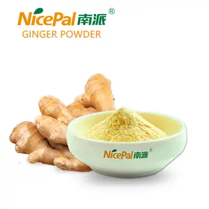 Nicepal Free Samples Ginger Extract Bubble Tea Powder Ginger Powder For Hot Drinks