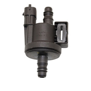 โซลินอยด์วาล์ว 0280142517 สำหรับฟอร์ด โฟกัส เฟียสต้า คาร์บอน แคนเนสเตอร์ 12V DC 0-1 MPa ช่วงแรงดัน - Product Image 1