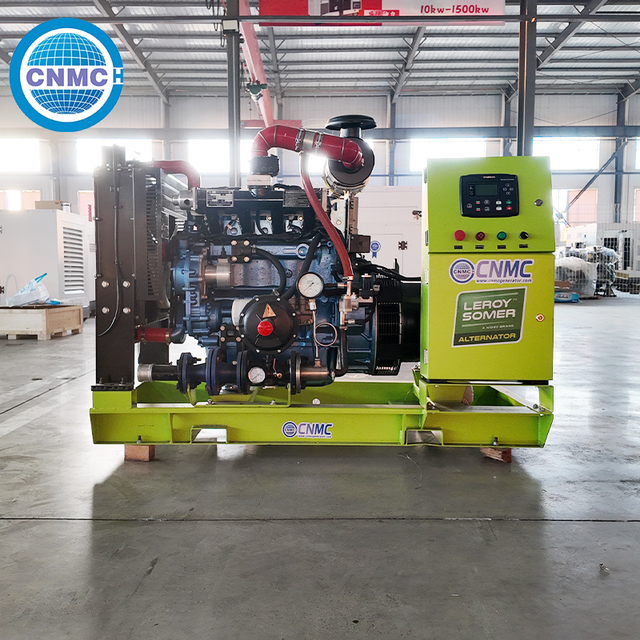 10kW 20kW 25kW 50kW Propane Gas Standby Generator for Residential and Small Business Emergency Power