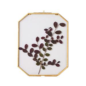 <span class=keywords><strong>Cadre</strong></span> <span class=keywords><strong>photo</strong></span> mural octogonal flottant double en <span class=keywords><strong>laiton</strong></span> doré et <span class=keywords><strong>verre</strong></span> transparent pour fleurs séchées - Product Image 2