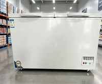 Congélateur coffre commercial autonome 385L, température unique, refroidissement direct, acier inoxydable, 2 portes, pour la conservation de viande fraîche et de fruits de mer