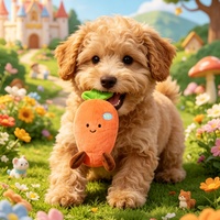 Schattig simulatie fruit piepend kauwspeeltje voor honden