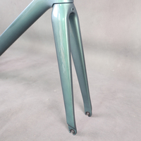Nuevo cuadro de bicicleta de carretera de carbono ultraligero EPS T800/T1000 BB86 cuadro de bicicleta de carretera de carbono SGS pintura personalizada YS2086-1 FM609