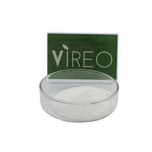Fructanase : Enzyme pour la dégradation des fructanes dans les aliments, améliorant la digestion et le taux d'absorption (Inulinase) - Product Image 2