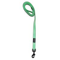 Laisse pour chien rayée de haute qualité avec mousqueton durable pour la promenade et la course, adaptée à toutes les races de chiots