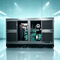 Groupe électrogène à gaz haute efficacité et facile à utiliser de 100 kW, 120 kW, 150 kW, 200 kW, 250 kW pour gaz naturel, biogaz, biomasse et GPL