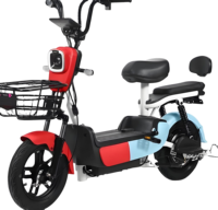 Sepeda Listrik Kota Dewasa dengan Daya Tahan Baterai Ultra-Lama Standar Nasional Baru 48v Skuter Roda Dua dengan Desain Sederhana dan Modis