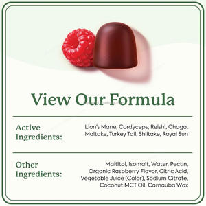 Integratore di Funghi in Caramelle Gommose OEM, Criniera di Leone, Cordyceps, Chaga, Energia Naturale, Vegano, Non-OGM, 60 Pezzi - Product Image 3