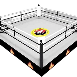 Ring de boxe personnalisé en toile de taille <span class=keywords><strong>mini</strong></span> pour entraînement et compétition de MMA et de Muay Thai à vendre - Product Image 2