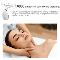 Appareil de beauté pour le visage et le cou, outil multifonctionnel de soin de la peau, anti-rides, masseur liftant pour le visage, outil pour le visage