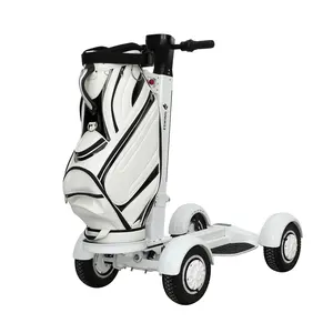 Eswing 10 inch có thể gập lại 2000W ghế đơn bốn bánh xe điện Golf Scooter