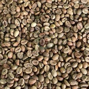 Venta al por mayor de granos de café Robusta de Vietnam tamaño 16 café verde A Plus 60kg bolsa exportación a granel 95 99 por ciento pureza suministro de fábrica - Product Image 3