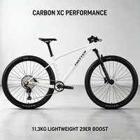FLM M9-Pro Carbon MTB 29er 13 vitesses, transmission électronique sans fil, cadre rigide léger, pneus MAXXIS SENTYEH, vélo VTT, mountainbike