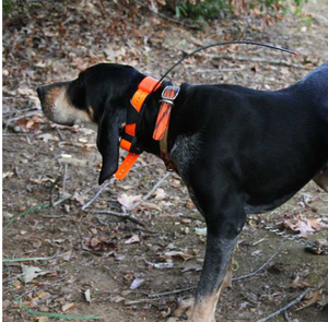 Antenne collier de suivi de chiens GPS, pour T5 TT10 <span class=keywords><strong>TT15</strong></span> T5 <span class=keywords><strong>Mini</strong></span> DC30 DC40 DC50, prix d'usine - Product Image 5