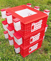 QA Haute Qualité Poulet Oiseaux Multicolore Volaille Caisse Double Porte Transport Cages