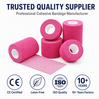 Bande de pansement élastique auto-adhésive colorée et flexible en tissu non tissé pour les premiers secours sportifs et les soins des plaies des animaux de compagnie