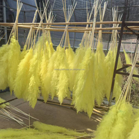 Grande herbe de pampa naturelle 2-4ft Grande vente de fleurs sèches pour la décoration intérieure Boho Decor Wedding Arch Floral Arranging Pampas Bouquet