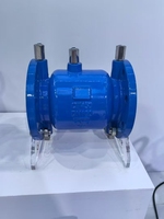 Ensemble de clapets anti-retour RPZ (zone à pression réduite) pour conduite d'eau potable, anti-contamination par refoulement