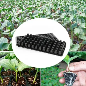 China Hersteller Garten Vermehrung stablett Pflanze Sämling Starter Tablett