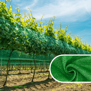 Rete Ombreggiante in PE Resistente Stabilizzata ai Raggi UV 50gsm HDPE per Fragolai e Zone Aride Protezione Solare - Product Image 3