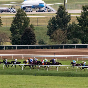 PVC kết hợp chạy đua hàng rào theo dõi <span class=keywords><strong>racecourse</strong></span> chu vi Ngựa chạy hàng rào - Product Image 6