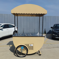 Chariot mobile réfrigéré pour la vente de glaces et de gelatos, avec auvent, idéal pour la distribution de bâtonnets glacés