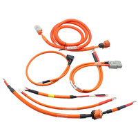 Kabelbaum Fabrik Custom Auto Connector RNB70-8 70 mm2 200A New Energy Batterie kabel