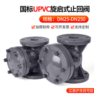 Rong Sheng UPVC <b>Swing</b> Check Valve Flanged DN50 <b>Single</b>-Lobed Structure For Water Pipe Horizontal Use - Product Image 5