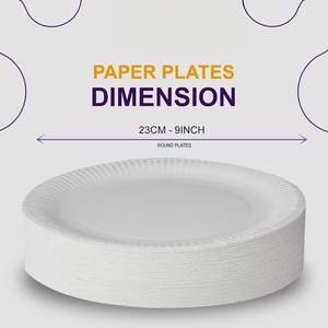 Assiettes en papier blanches de 10 pouces, assiettes en papier jetables pour un usage quotidien, résistantes à l'eau, résistantes aux coupures, assiettes jetables - Product Image 4