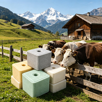 Bloc de sel minéral de qualité supérieure pour l'alimentation animale, sel à lécher pour le bétail, pour la santé des vaches laitières, des moutons et des chèvres