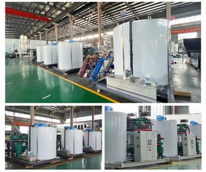 Máquina Industrial <span class=keywords><strong>de</strong></span> <span class=keywords><strong>Hielo</strong></span> en Escamas <span class=keywords><strong>para</strong></span> Pescado, <span class=keywords><strong>para</strong></span> Uso en Chile, Panamá y Ecuador - Product Image 5