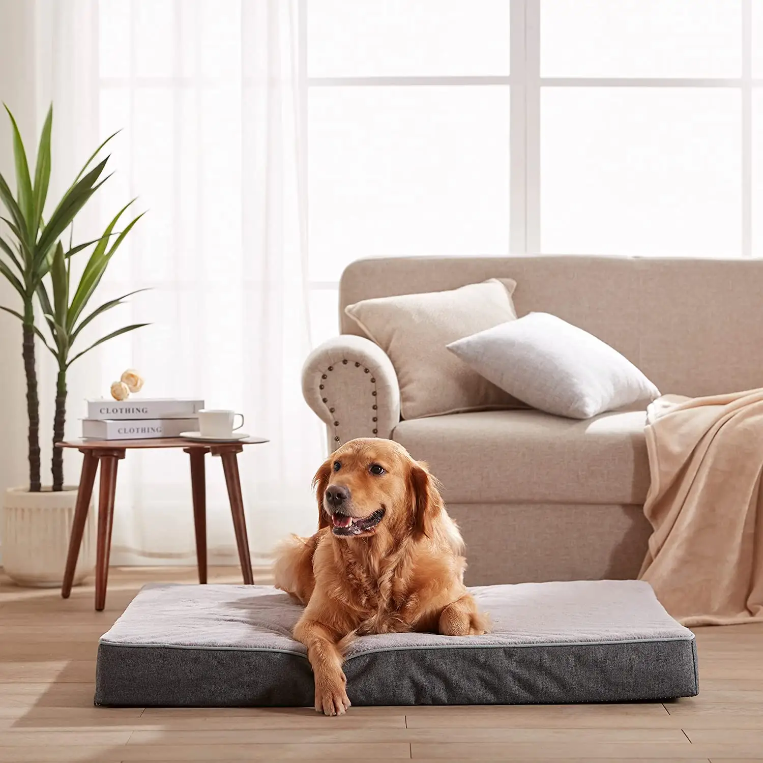 PET Cooling Dog Camas para Cães Grandes Pelúcia Ortopédica Memória Espuma Dog Bed Grandes Camas Pet com Tampa Lavável Removível