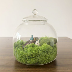 Tự làm cảnh quan thủy tinh container với nắp cho Tabletop rêu hoa hiển thị nhà vườn trung tâm hồ cạn - Product Image 2