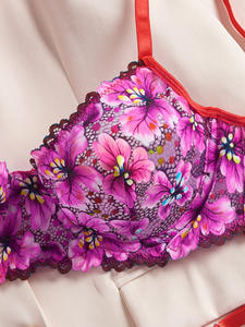 2025 Neueste Cross-Border Valentinstag Sexy Dessous-Set Retro Mehrfarbiger Spitzen-Print Bügel-Push-Up Ultra-Dünnes BH-Set - Product Image 6