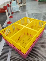 Nouvelle cage de transport pour poussins d'un jour, 4 sections, non pliable, en PP robuste, pour 80-100 poussins