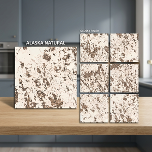 Aramani Bronze Commercial Grade Glazed Porcelain Floor Tiles Matt Surface 80x80cm Contemporary Design - Product Image 6