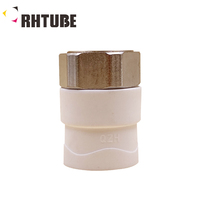 Raccords de tuyauterie à soudure à chaud forgés à tête ronde de 6 mm, connecteur de conversion PPR vers PE, marque RHTUBE pour l'alimentation en eau