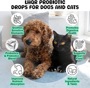 Multivitamines liquides pour chiens OEM, collagène, huile de poisson, formule quotidienne super enrichie pour chats, soutien articulaire, digestif, allergique, immunitaire, cutané, pelliculaire et urinaire - Product Image 4