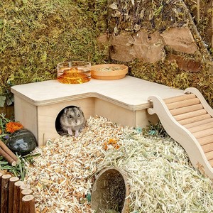 Pequeño nido de mascotas con patrón de animales de madera para hámsteres, ardillas, erizos, marmotas en embalaje de cartón de <span class=keywords><strong>Pet</strong></span> <span class=keywords><strong>Shop</strong></span> - Product Image 6