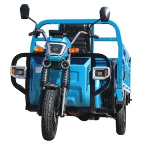 Hot Sale Electric Farmer Use Tricycle for Countryside Tricycle Agricultural Vehicles