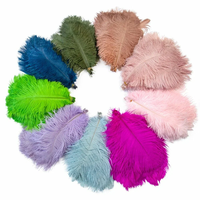 Plumes d'autruche blanches colorées de 45-50 cm (18-20 po) pour la décoration de fêtes et de la maison