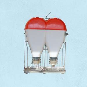 Alat makan babi otomatis, Tempat makan Stainless Steel bentuk barel bulat untuk babi - Product Image 6