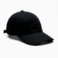 Gorra de Béisbol de 6 Paneles con Bordado a Mano en Terciopelo, Diseño Curvo en la Parte Trasera, Ajustable, Unisex, Personalizable, para las Cuatro Estaciones, Estilo Casual y Deportivo