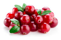 Natuurlijk Cranberry Poeder Beste Prijs Cranberry Sap Fruitpoeder Bulk Voedingsmiddelenkwaliteit voor Dranken