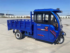 Shifu Renjia Triciclo eléctrico semicerrado de doble uso Dirección a la izquierda Gas <span class=keywords><strong>Hill</strong></span> Climbing Ability Triciclo motorizado inverso - Product Image 3