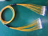Câble de communication SM à rupture 8,5 mm 24FO LC/UPC vers 24F/LC UPC Fanout Patch Cord G652D G657A1 9/125 SM
